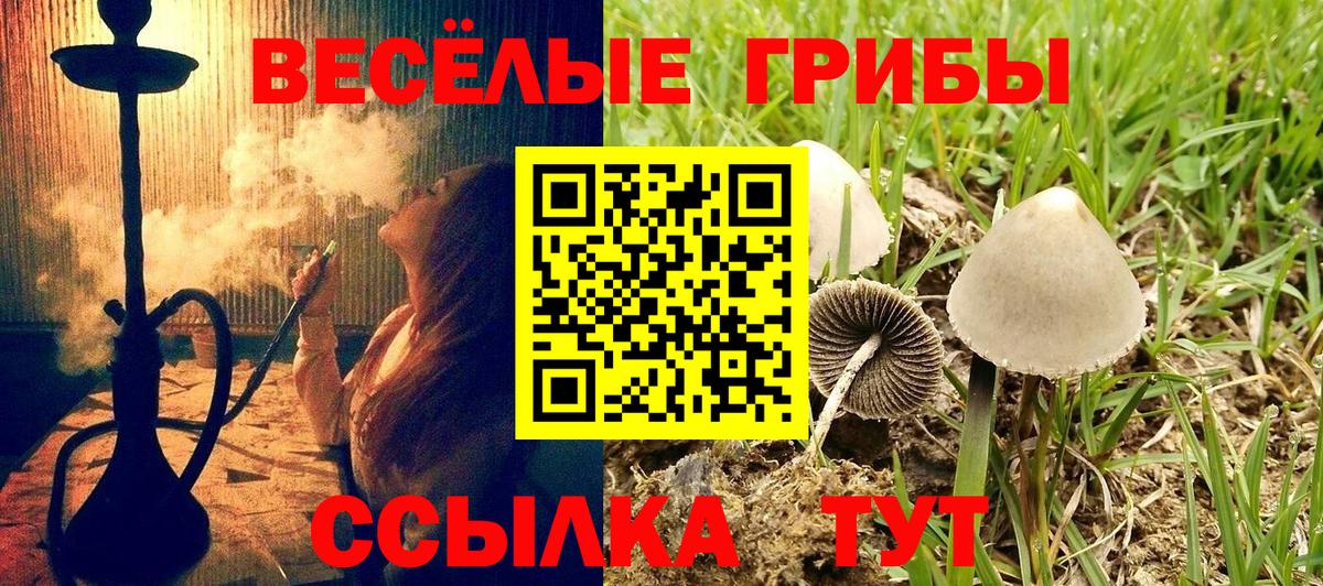 купить  сайты  Вход с VPN  Чита  Псилоцибиновые грибы Cubensis 