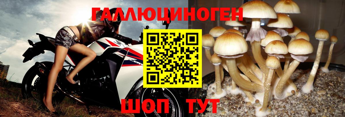 Вейп ТГК  Вход с VPN  Где купить  Меф МЯУ МЯУ кристаллы  COCAIN  Чита  Бошки Шишки  MDMA  Гашиш 