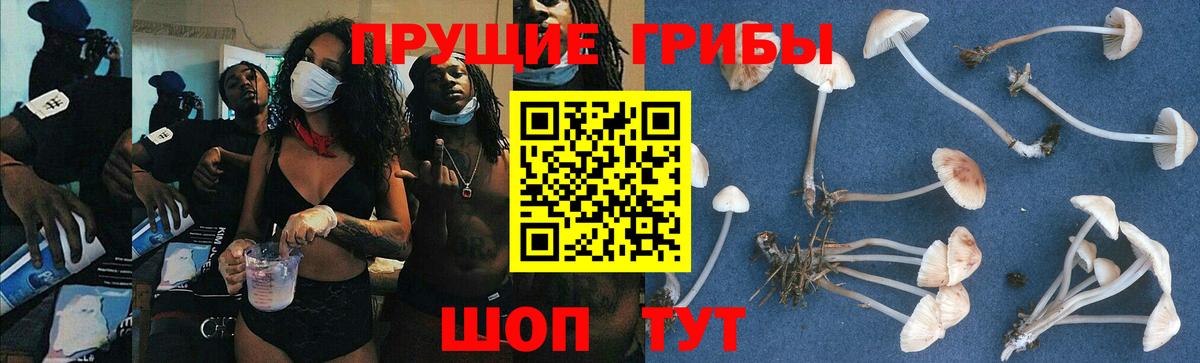 Псилоцибиновые грибы мухоморы Чита